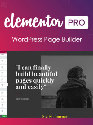 Elementor-PRO-WordPress-Page-Builder